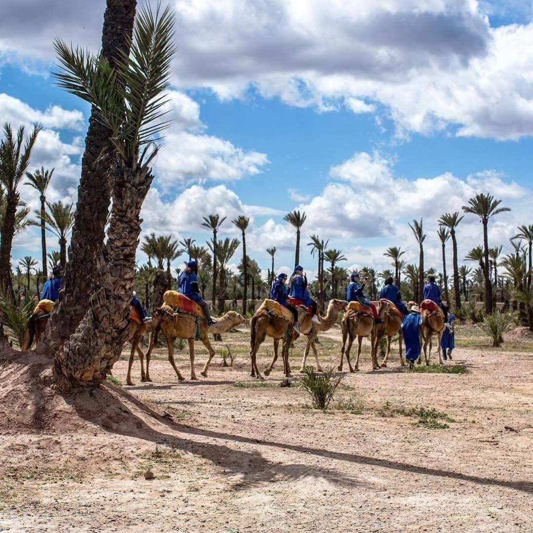 Fabuleux Appartement, Rez De Jardin Au Sein De La Palmeraie Marrakesh Exterior foto